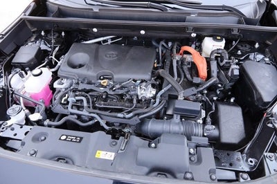 2025 Toyota RAV4 Hybrid XLE Premium