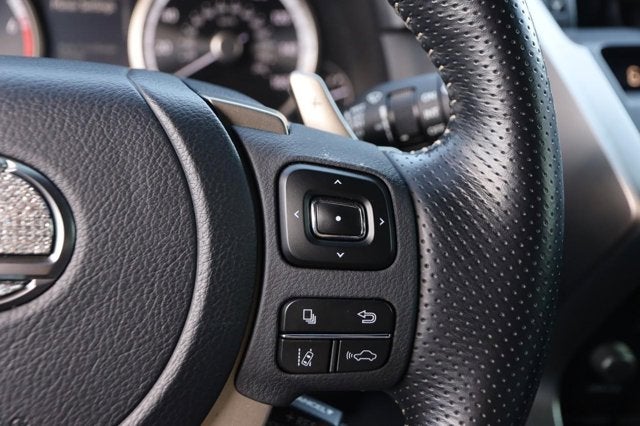 2021 Lexus NX NX 300 F SPORT